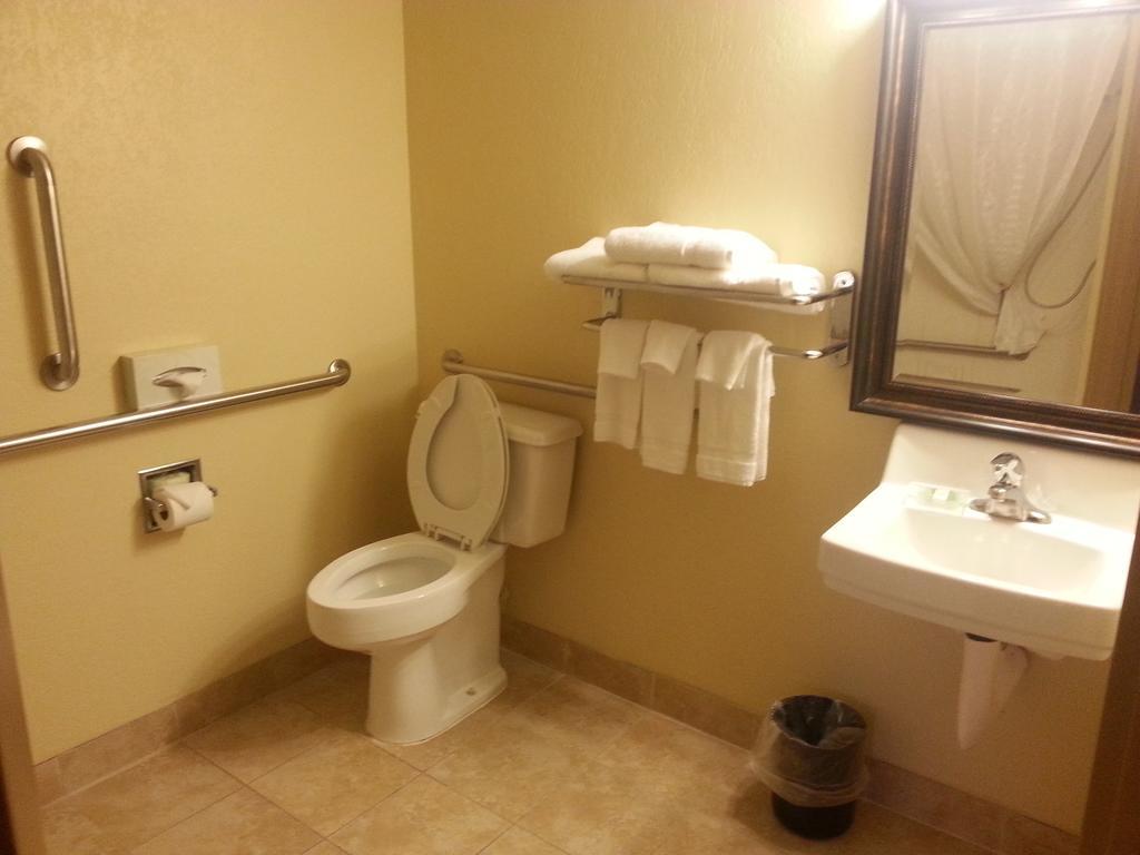 Quality Inn & Suites Saginaw Room photo