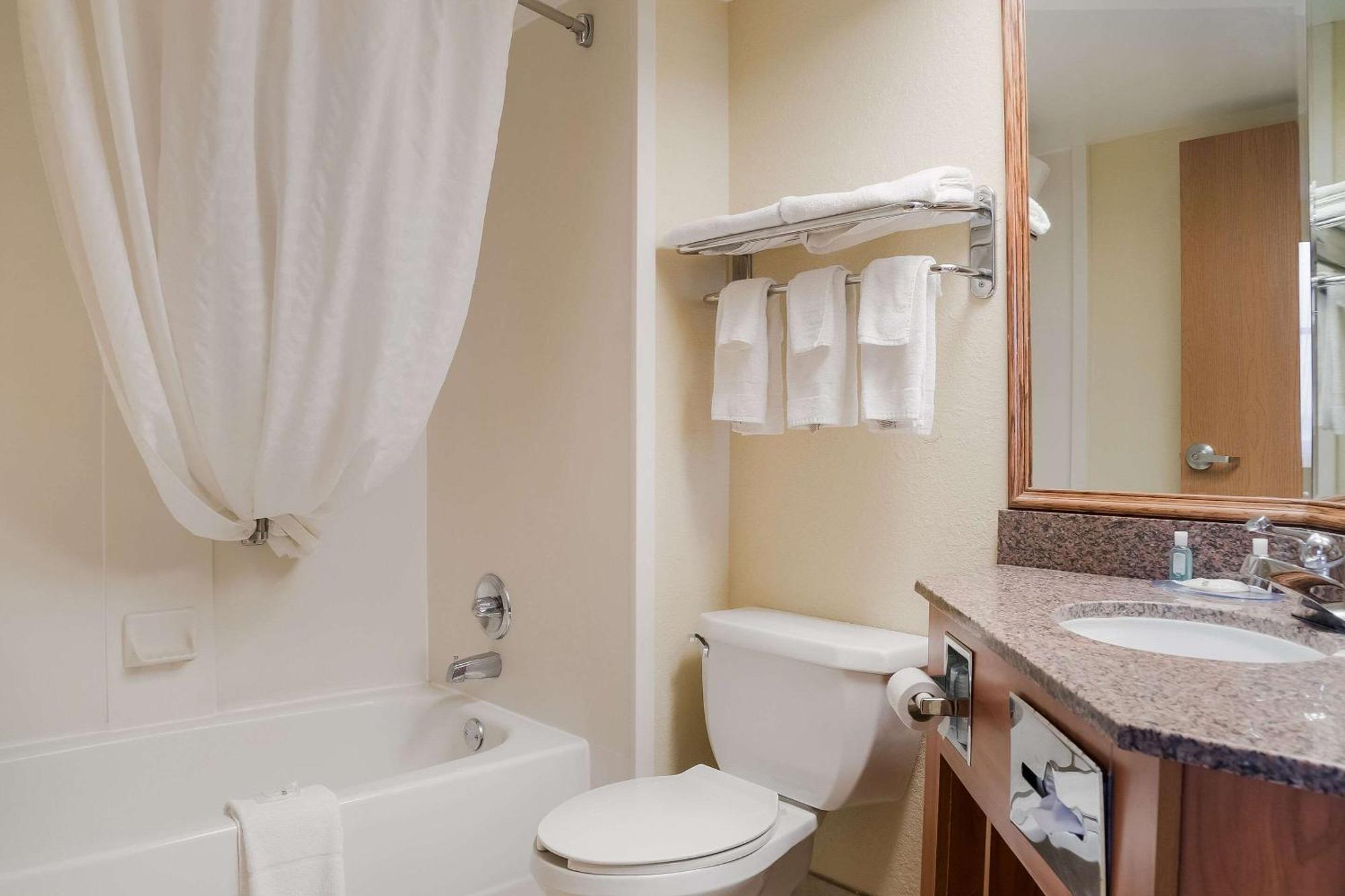 Quality Inn & Suites Saginaw Exterior photo