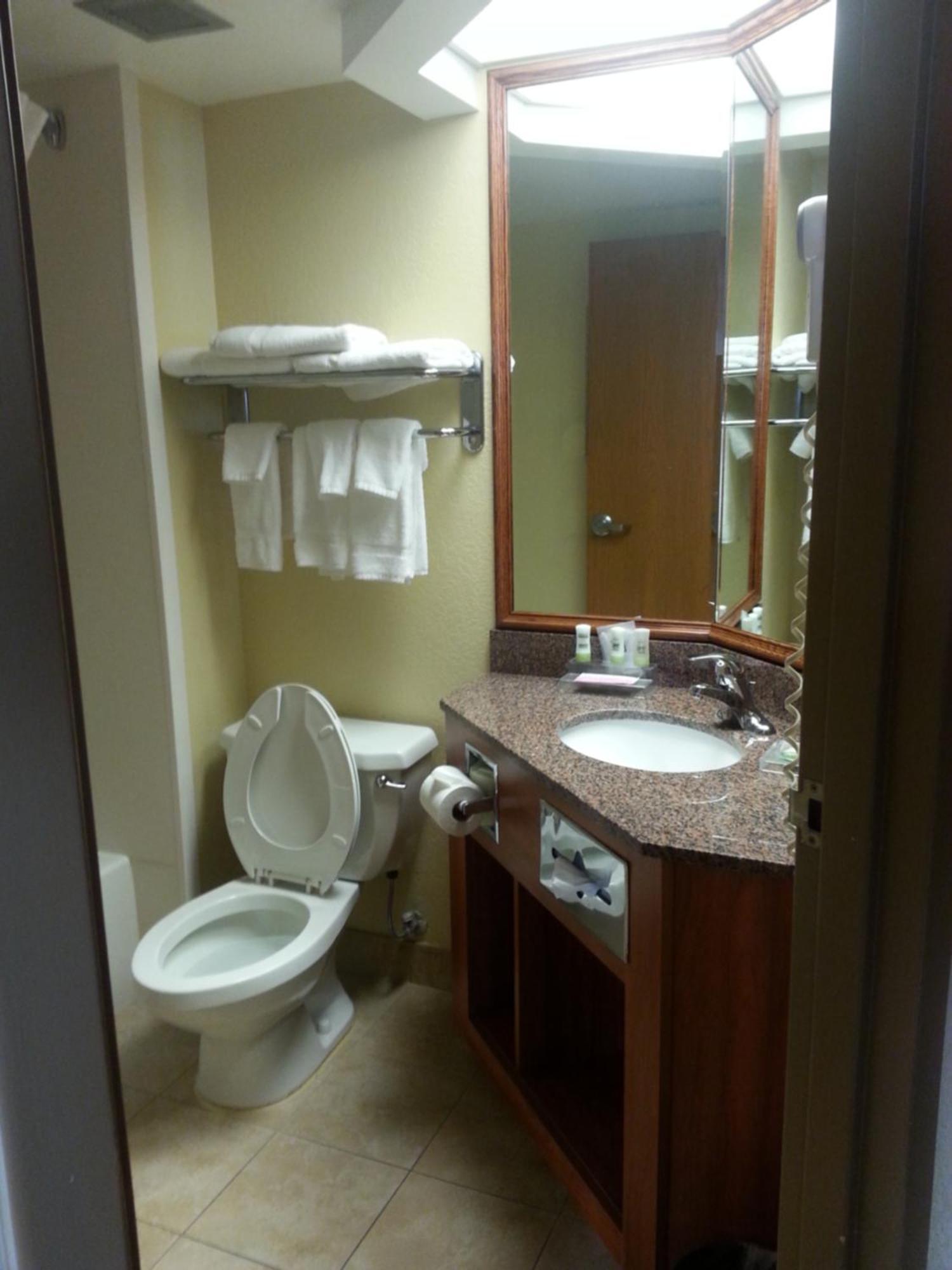 Quality Inn & Suites Saginaw Exterior photo