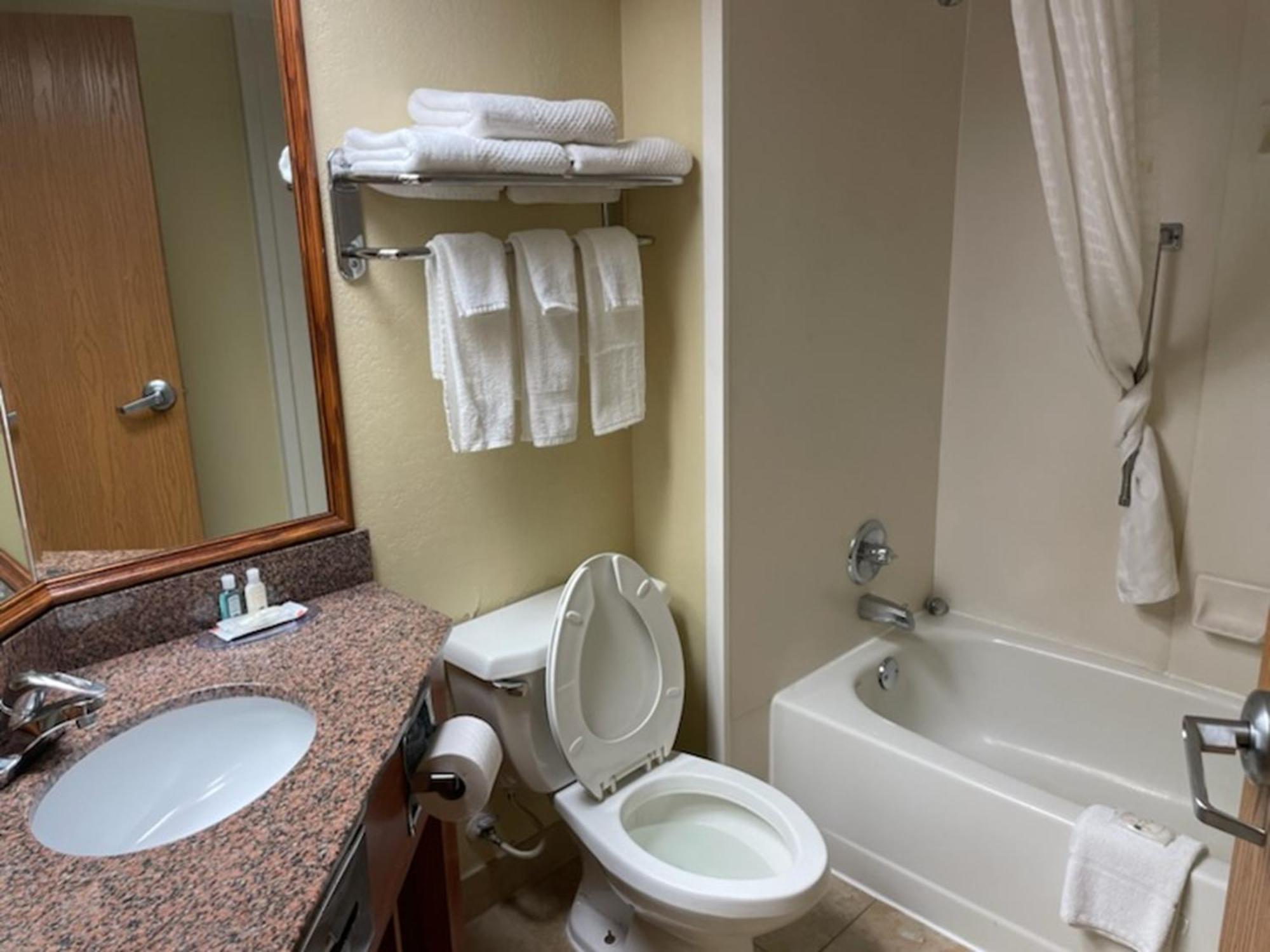 Quality Inn & Suites Saginaw Exterior photo