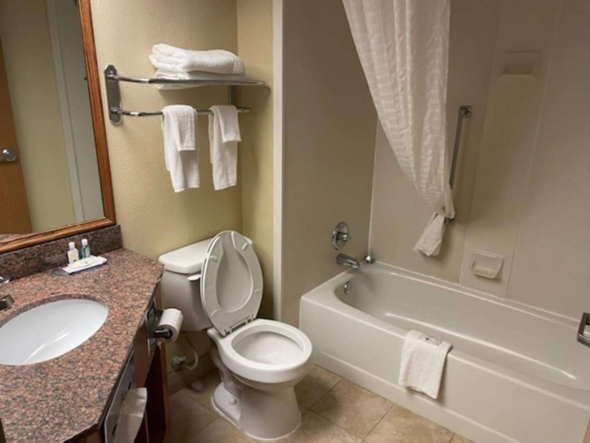 Quality Inn & Suites Saginaw Exterior photo